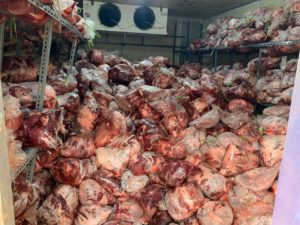 Tersedia Daging Babi Beku Kuantiti Besar