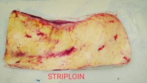 Jual Daging Sapi Lokal Beku Bali 100% Halal