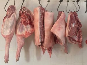 Supplier Daging Babi Di Bali